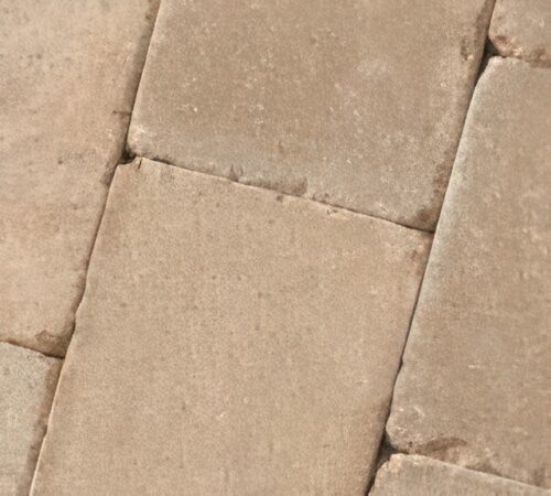 Roman 8x10 - Desert Buff